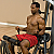 Body Solid Fusion 600 - Biceps Curl