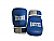 Excalibur Boxing Mitts - Blue Up and Down