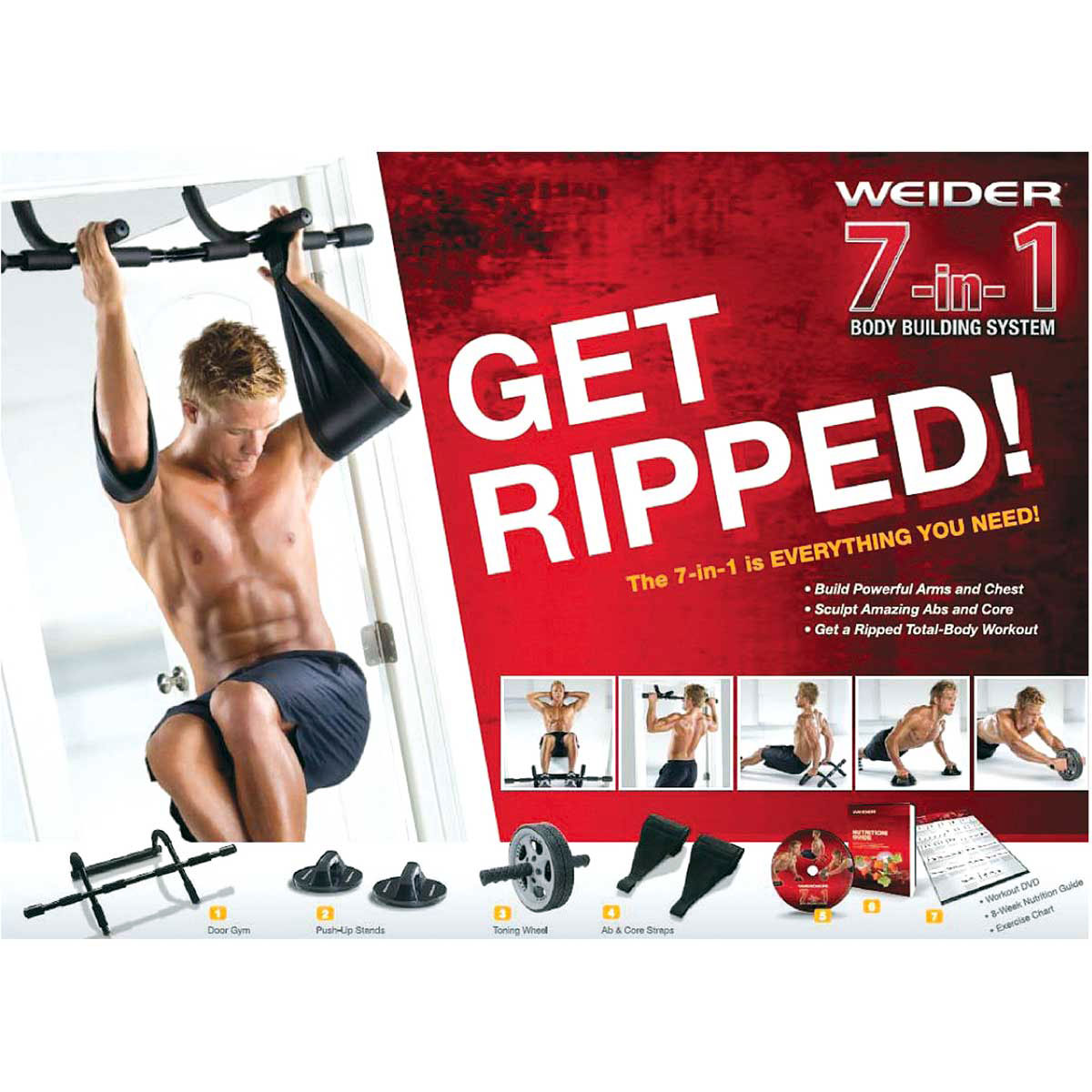 Weider Chart 1