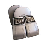 Bag Mitts and Focus Pads Combo